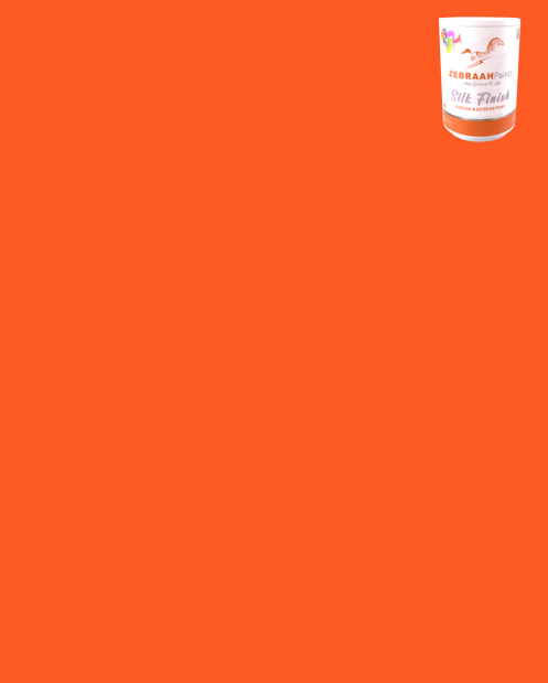 SILK FINISH ORANGE - 20L